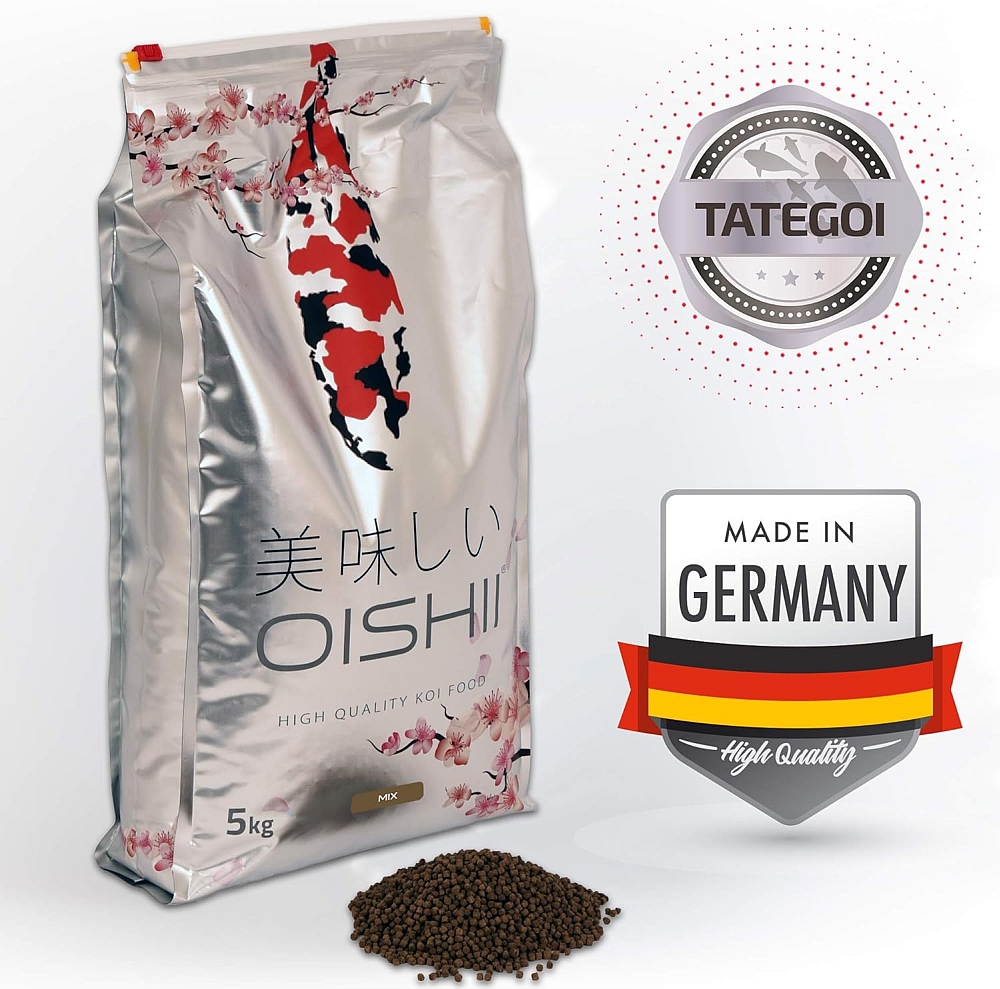 Toliq ayollarning rus porno videolari